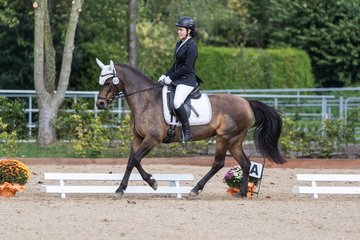 Bild 353 - Fuchshof Turnier